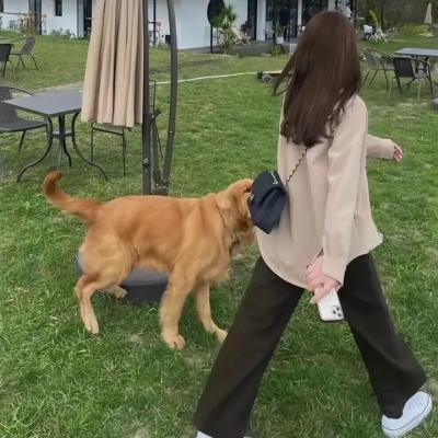 莎拉伯·恩哈特
